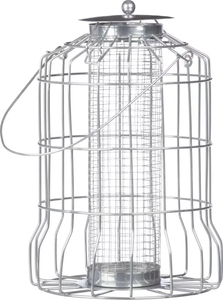 Tintti Syötin Pähkinöille