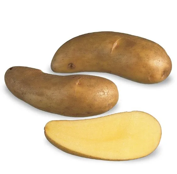 SIEMENPERUNA PUIKULA 5KG