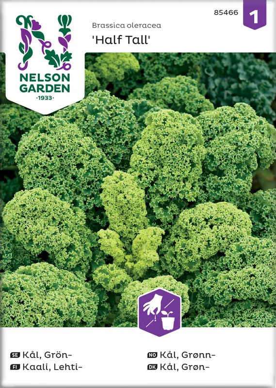 Kaali, Lehti-, Half Tall