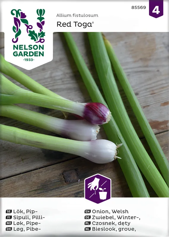 Sipuli, Pilli-, Red Toga