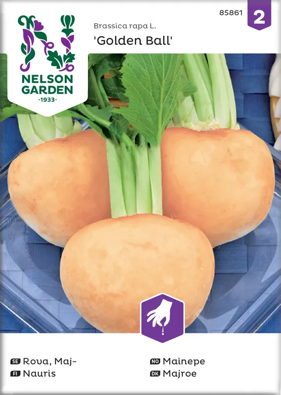 Nauris, Kultapallo, Golden Ball